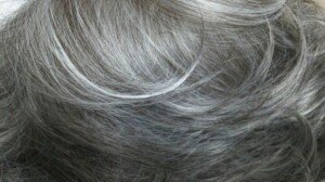 img_3621_720-300x168